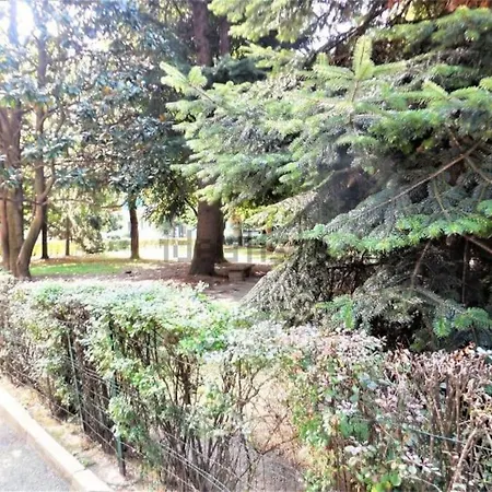 Grazioso Moderno In Mirafiori *